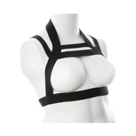 Gender Fluid Majesty Harness