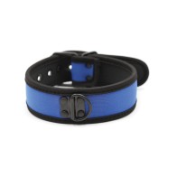 Collar de Neopreno para Cachorro Plesur - Azul