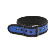 Collar de Neopreno para Cachorro Plesur - Azul