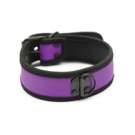 Collar de Neopreno Plesur para Perrito Morado