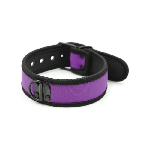 Collar de Neopreno Plesur para Perrito Morado