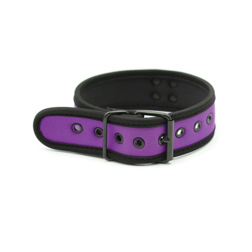 Plesur Neoprene Puppy Collar Purple