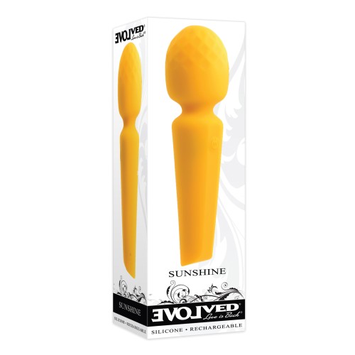 Evolved Sunshine Flexible Wand Vibrator