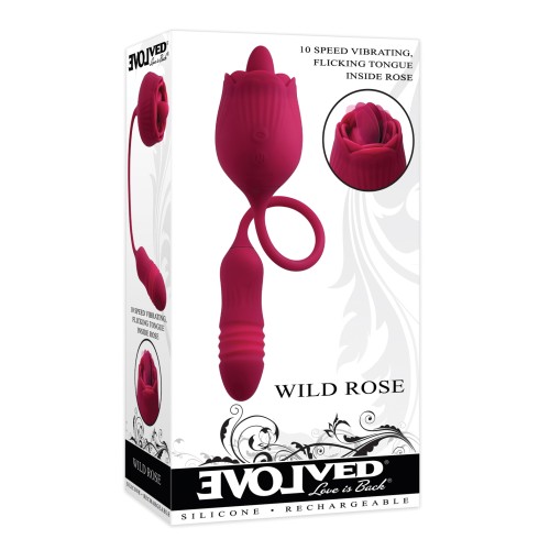 Evolved Wild Rose Red