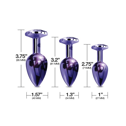 Nixie Metal Butt Plug Set for Gradual Training