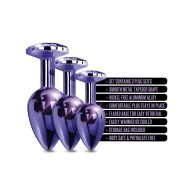 Nixie Metal Butt Plug Set for Gradual Training