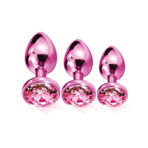 Nixie Pink Metallic Butt Plug Set