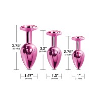 Nixie Pink Metallic Butt Plug Set