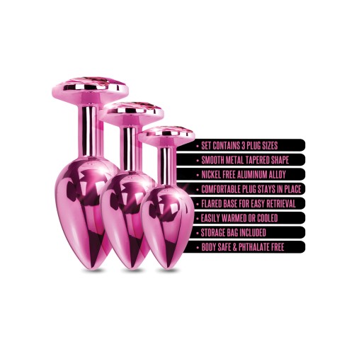 Nixie Pink Metallic Butt Plug Set