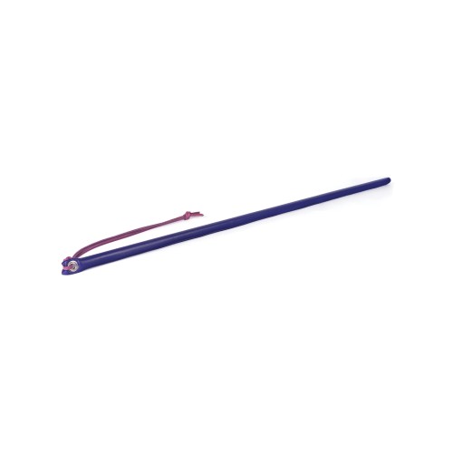 Spartacus Leather Cane Purple