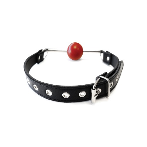 Rouge Leather Ball Gag with Removable Ball Black Red