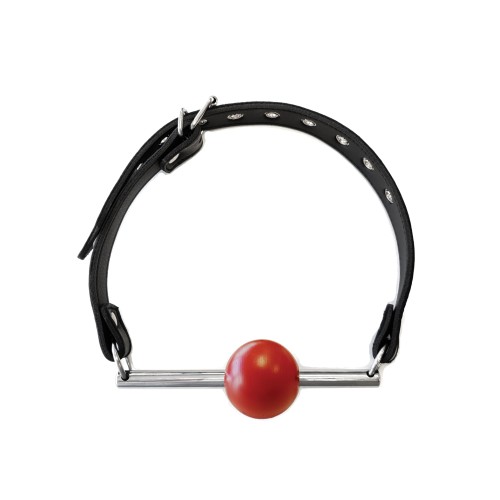 Rouge Leather Ball Gag with Removable Ball Black Red