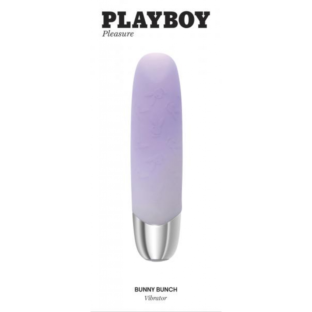 Playboy Bunny Bunch Vibrator - Purple