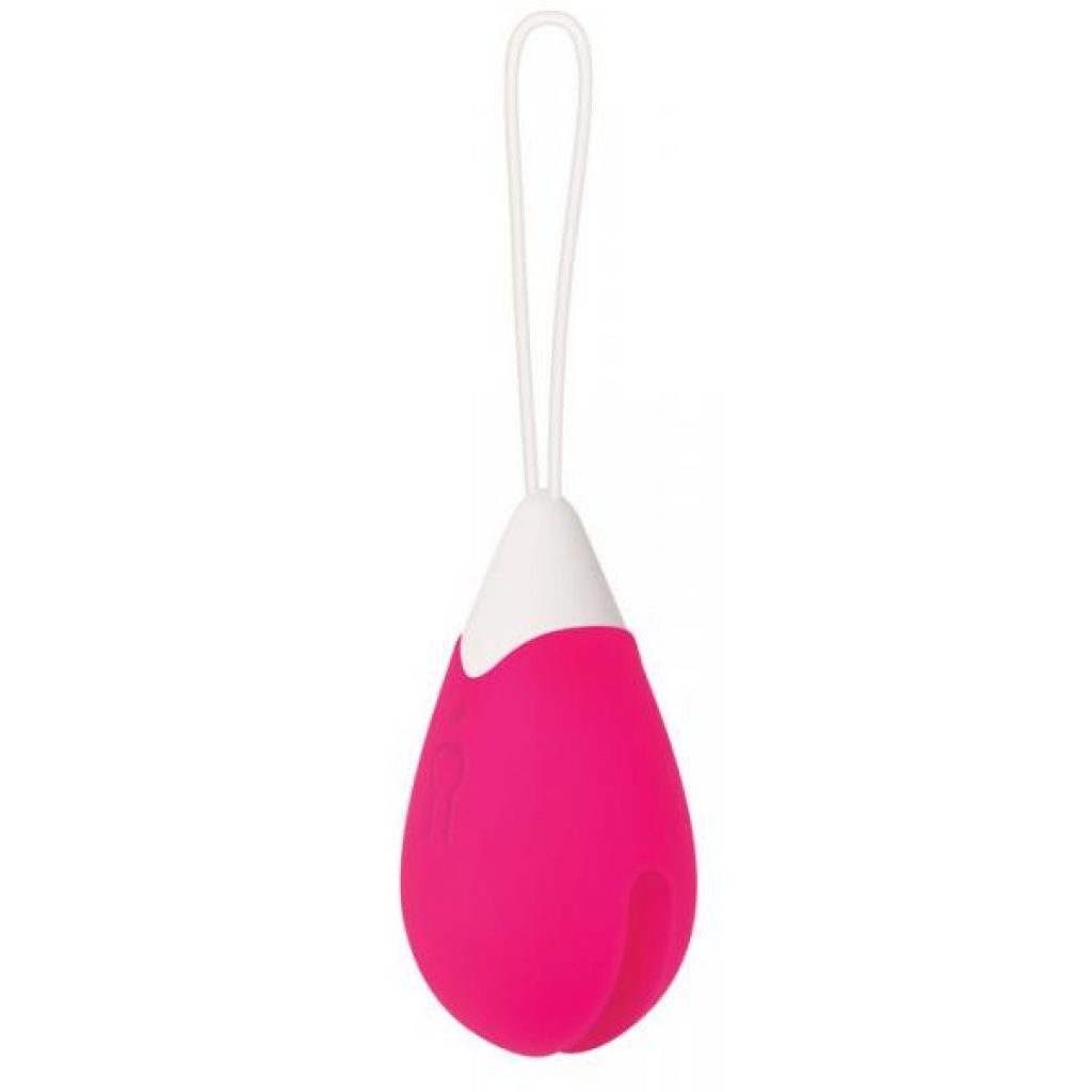 Rechargeable Pink Egg Vibrator with Remote Control