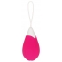 Rechargeable Pink Egg Vibrator with Remote Control