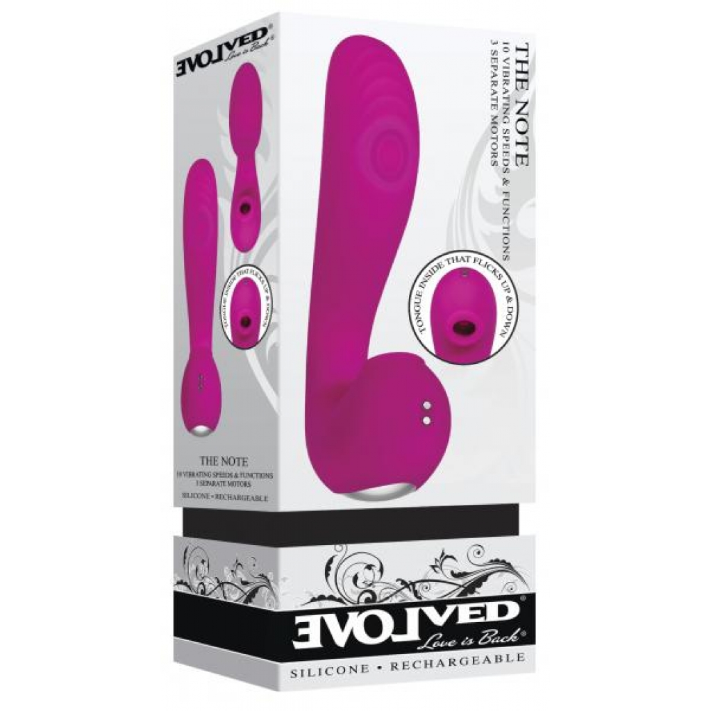 Evolved The Note Pink Vibrator - Symphony of Sensation