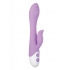 Evolved Pleasing Petal Rabbit Style Vibrator