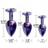 Nixie Metal Plug Trainer Set - Purple Metallic