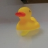 Duck with a Dick - Adult Fun Toy