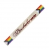 Vibrant Progress Bachelorette Sash for Inclusive Celebrations