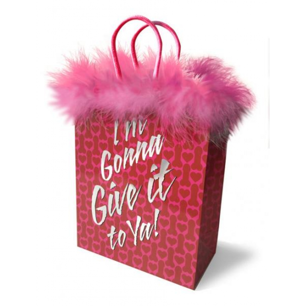 I'm Gonna Give It To Ya! Gift Bag - Adult Products