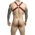 Adjustable Hanging Penis Ring Harness - Red O/S