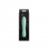 Desire Destiny Mint Green Vibrator