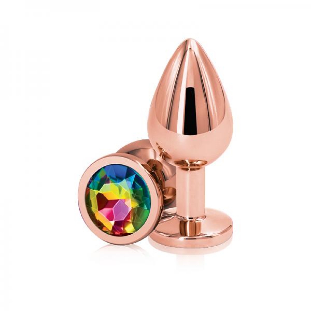 Rear Assets Rose Gold Medium Rainbow Butt Plug