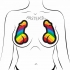 Pastease Rainbow Pride Dick Pasties