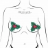 Pastease Xmas Winter Holly Nipple Pasties - Festive Fun