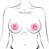 Pastease Pink Glitter Velvet Rose Nipple Pasties