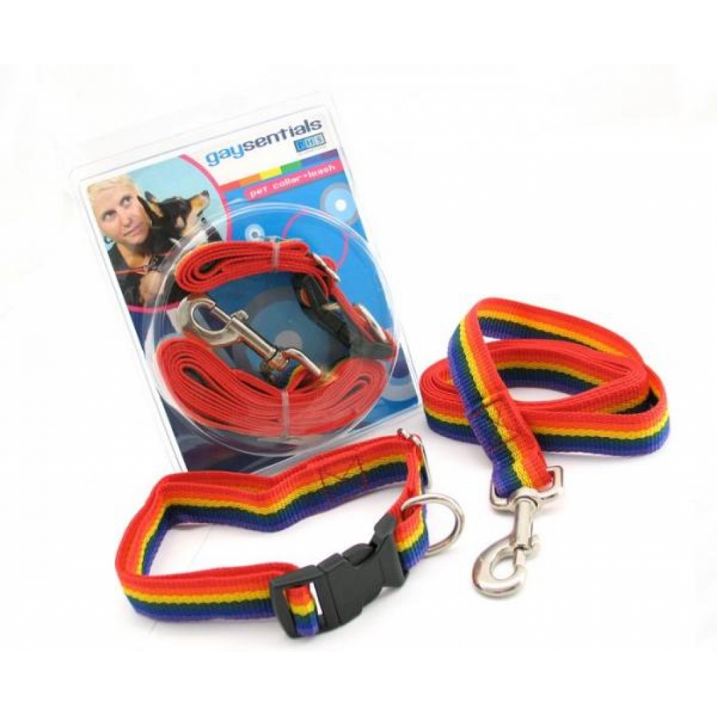 Gaysentials Large Pet Collar and Leash Set