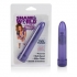 Shane's World Sparkle Vibrator - Perfect Discreet Pleasure