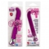 Risque G 10 Function Vibrator - Purple