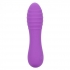 Bliss Liquid Silicone Ripple Vibrator