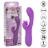 Butterfly Kiss Flutter Purple - Sensational Rabbit Vibrator