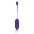 Rechargeable Kegel Ball Starter in Purple