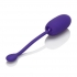 Rechargeable Kegel Ball Starter in Purple