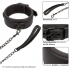 Elegant Nocturnal Collar & Leash Set