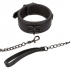 Elegant Nocturnal Collar & Leash Set