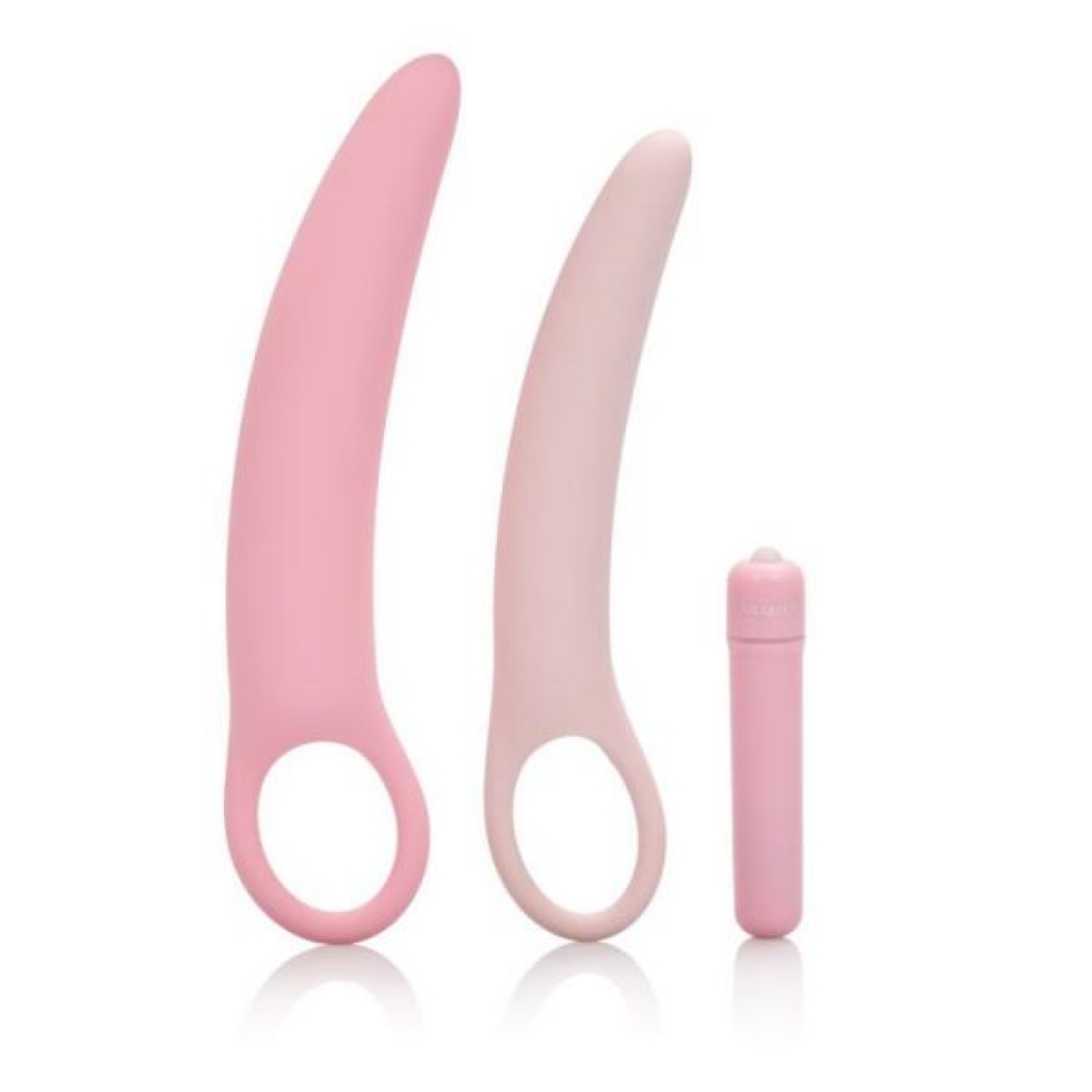 Inspire Vibrating Dilator Kit - Pink