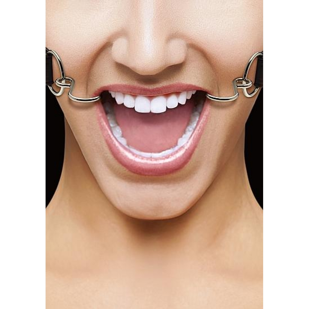 Ouch Hook Gag with Leather Straps - Black O/S