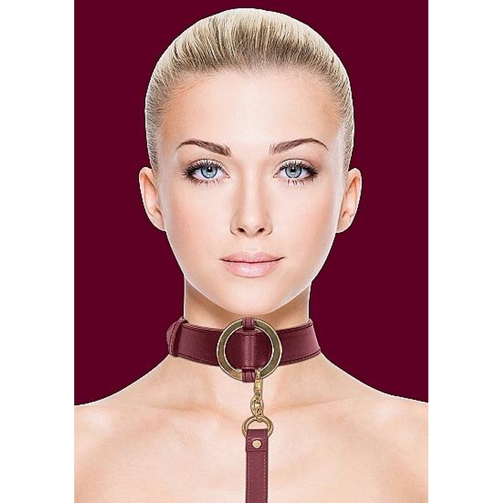 Ouch Halo Collar with Leash - Burgundy