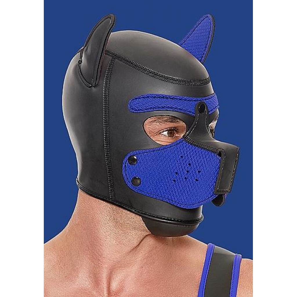 Ouch! Neoprene Puppy Hood - Blue