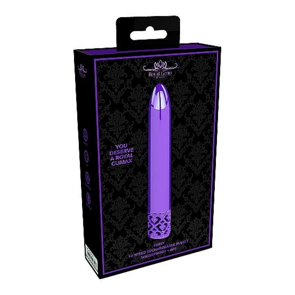 Royal Gems Shiny Purple ABS Bullet Vibrator - Rechargeable