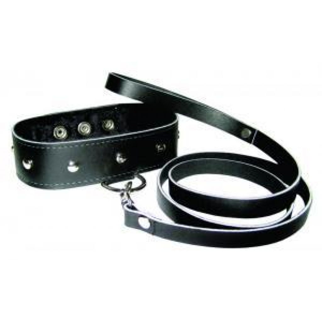 Leather Leash & Collar Set