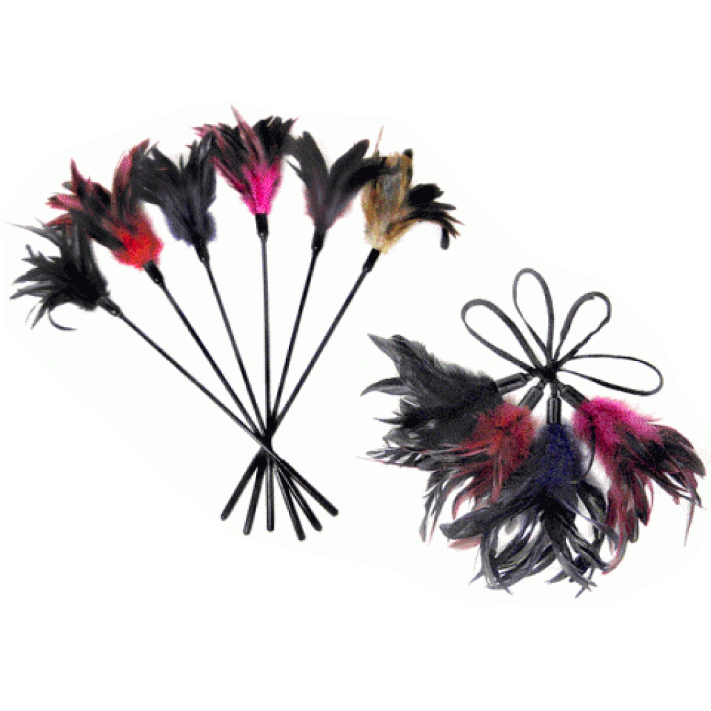 Starburst Feather Tickler - Black - Tease and Please