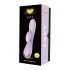 Envy Inflatable Vibrator - Lavender