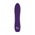 Viben Vivacious 10 Function Bullet Violet