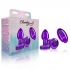 Cheeky Charms Vibrating Metal Plug - Purple Small with Remote